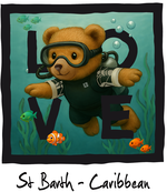 Black Diving Bear 2