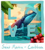 Whale St Martin