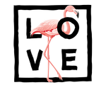 Flamingo #01