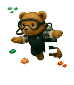 White Diving Bear 3
