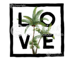 Palm 1