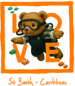 Orange Diving Bear 4