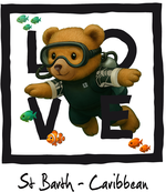 Black Diving Bear 4