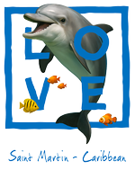 Blue dolphin