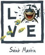 Gray shark