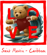Red Surfing Bear