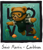 Black Diving Bear
