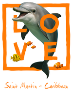Orange Dolphin