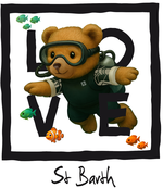Black Diving Bear 3