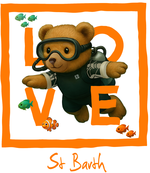 Orange Diving Bear 3
