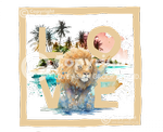 Lion 1