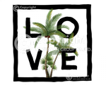 Palm 1