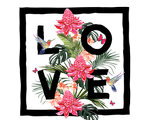 Birds & Butterflies 1