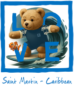 Blue Surfing Bear