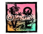 Palm 5