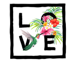 Colibri #02