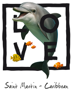 Black Dolphin