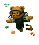 White Diving Bear 4