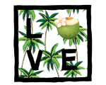Coconut 1