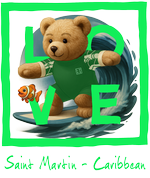 Green Surfing Bear
