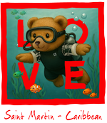 Red Diving Bear