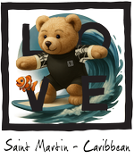 Black Surfing Bear