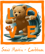 Orange Surfing Bear