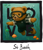 Black Diving Bear 1